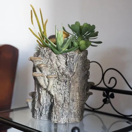 Da Manzela Apartmán